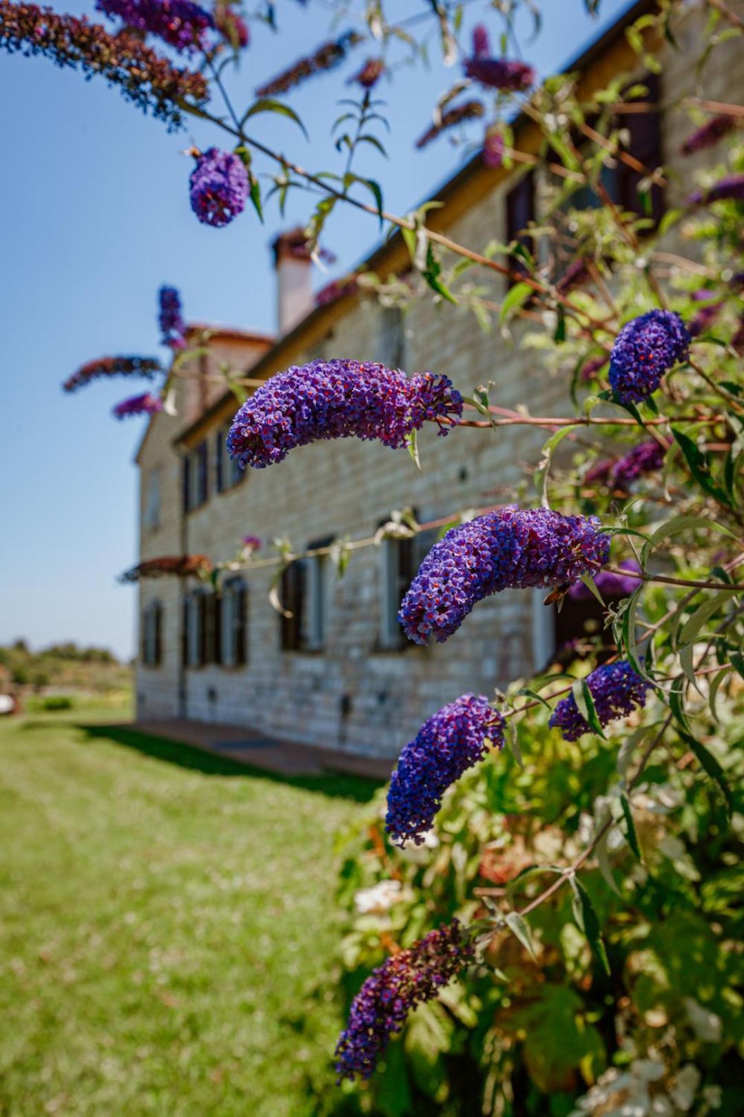 Alle Pendici Del Conero Sirolo Exterior foto
